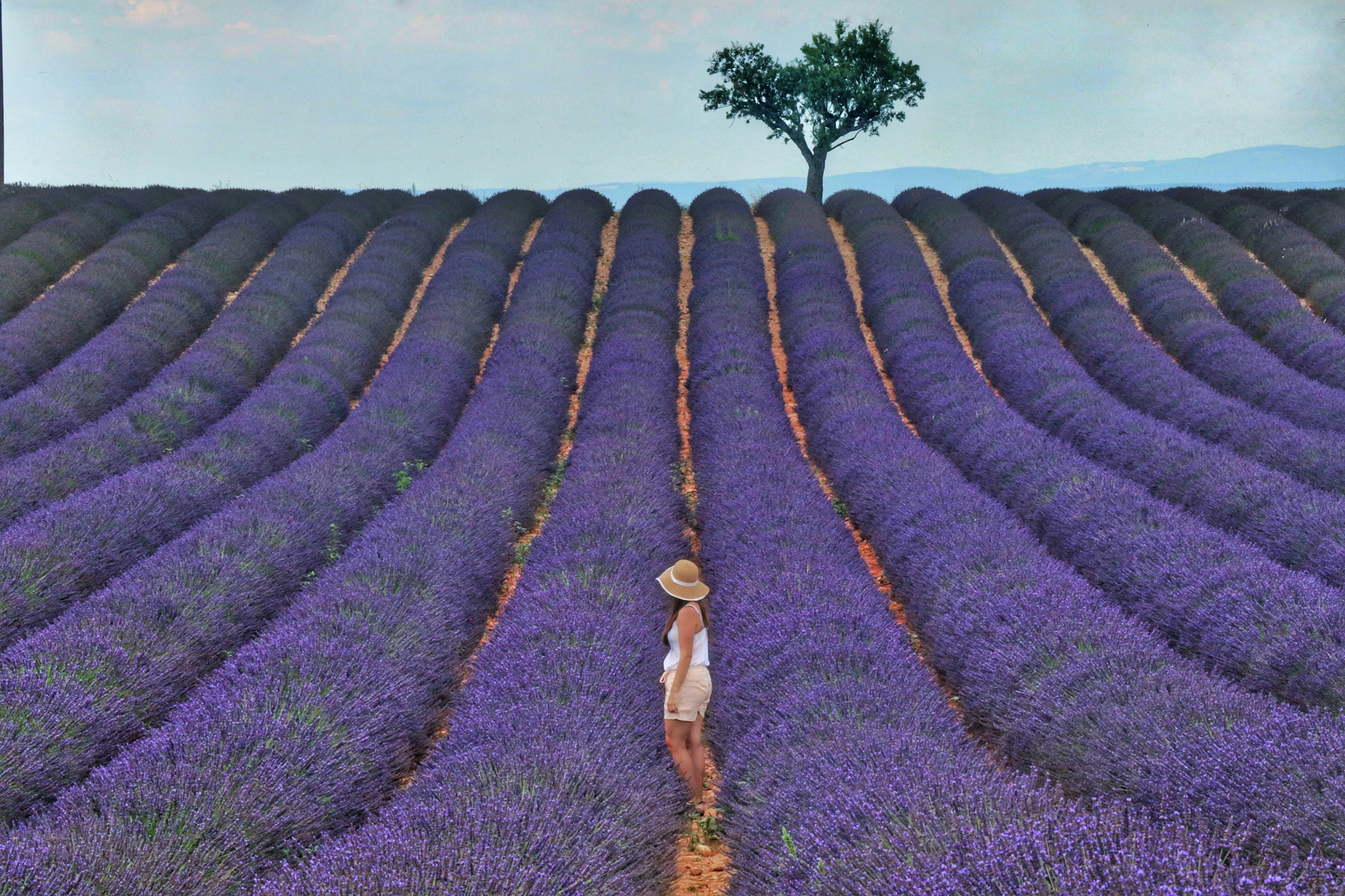 Provence helpvoyageur